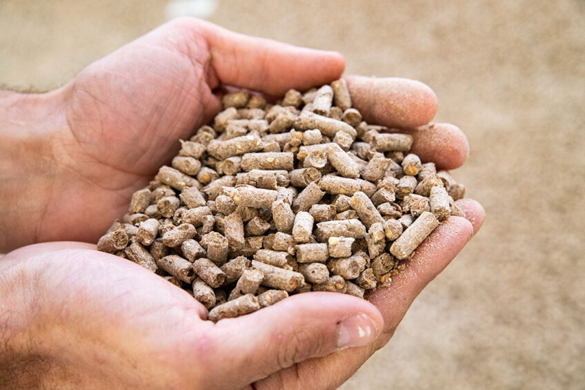 High-quality animal feed for livestock, poultry, and farm animals