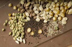 High-quality crop and grass seeds for farming, pasture, and lawn planting